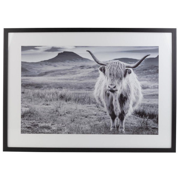 Bild Highland Cow Black & White