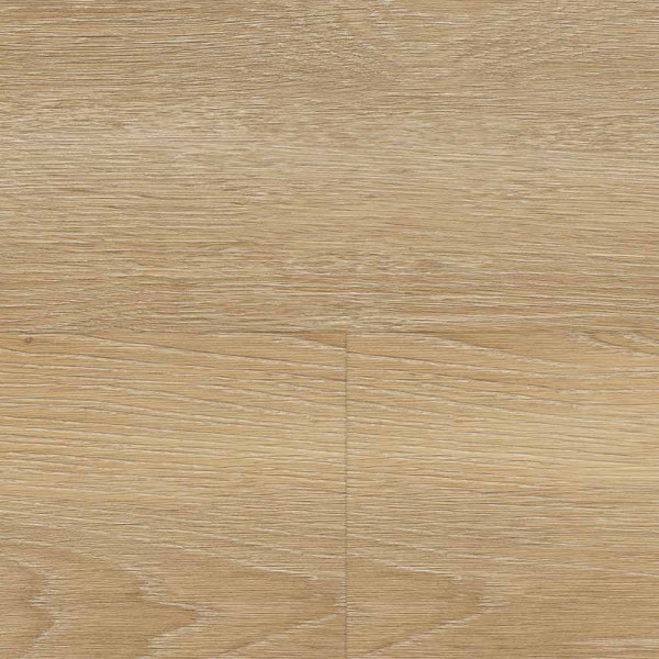 Helle, natürliche Eichenholzoptik auf dem Klick-Vinylboden zeigt verschiede Holzmaserungen. Die Oberfläche wirkt glatt und modern, ideal für Wohnräume oder Büros.