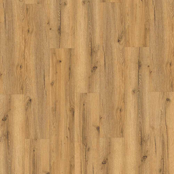 Barth & Co Klebe Vinyl x-cellent 50