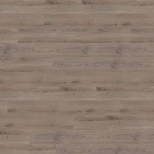 Holzboden im Design von Wineo, der eine natürliche Holzoptik bietet. Die Oberfläche zeigt eine Mischung aus hellen und dunkleren Holznuancen, die sanft miteinander harmonieren.