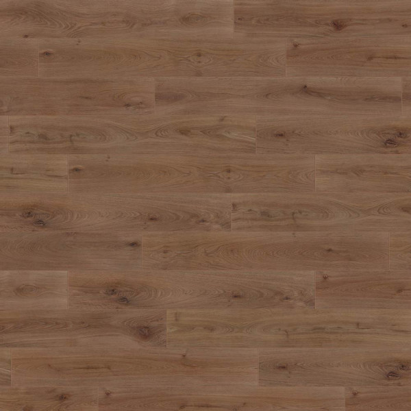 Bioboden wineo 1000 wood XL, Noble Oak Chocolate, Landhausdiele