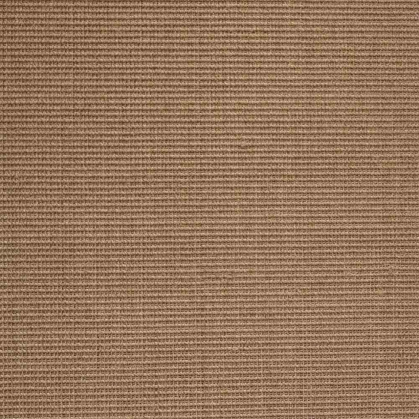 Teppichboden Brasilia beschichtet