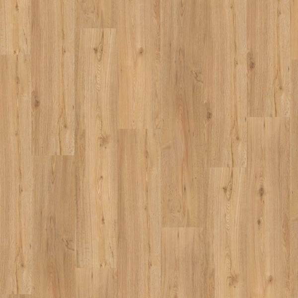 Parador Designboden Basic 4.3