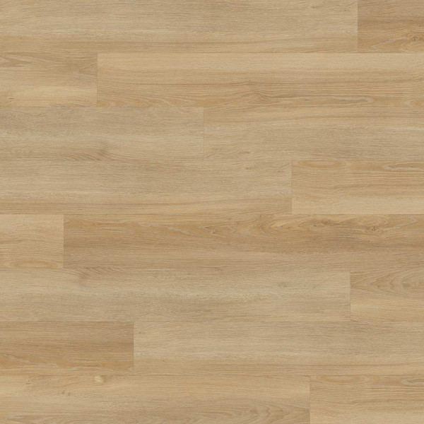 Helle, natürliche Eichenholzoptik auf dem Klick-Vinylboden zeigt verschiede Holzmaserungen. Die Oberfläche wirkt glatt und modern, ideal für Wohnräume oder Büros.