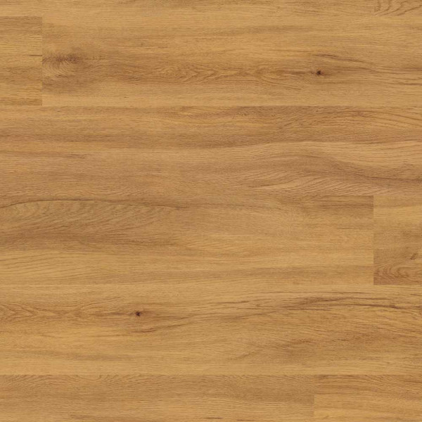 Project Floors Designboden floors@work/55