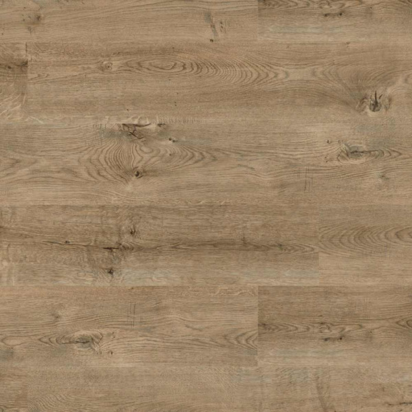 Project Floors Designboden floors@work/55, Klebe-Vinylboden, PW3160/55, Landhausdiele, Holzoptik