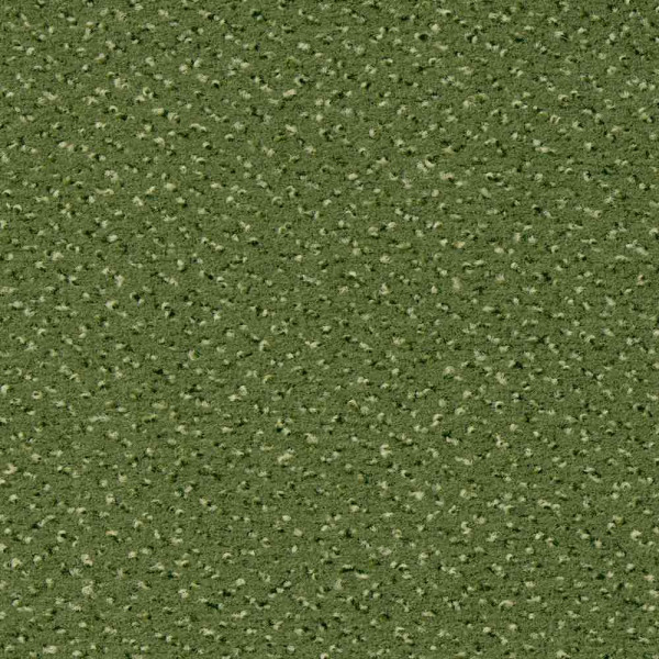 Vorwerk Teppichboden Tremo 1035