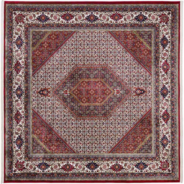 Klassischer Bidjar Teppich mit Fransen in Rot und verschiedenen geometrischen Mustern. Der Teppich bietet zahlreiche farbliche Details und ist für den Wohnbereich geeignet.