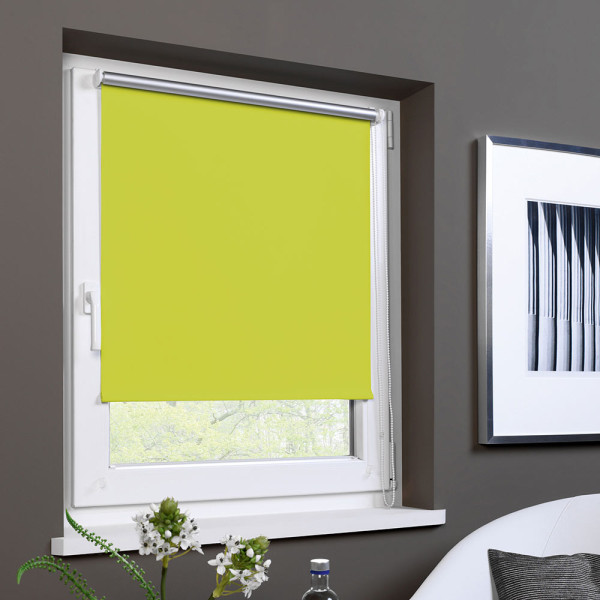 Hellgrünes EasyFix Seitenzugrollo ALICIA ist am Fenster angebracht. Das Rollo bietet Verdunkelung und ist mit einer Zugkette ausgestattet. Die Fensterbank ist dekoriert mit einem Pflanzenarrangement.