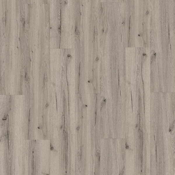 Heller Vinylboden im Dekor Eiche Pistasia mit natürlicher Holzoptik. Der Bodenbelag zeigt verschiedene Holzmaserungen und ist für Klebeanwendungen vorgesehen.